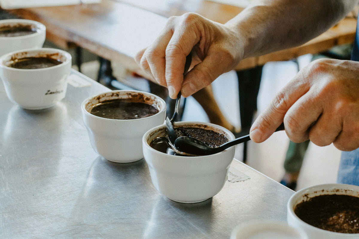 Séance de dégustation de cafés à la cuillère (cupping)