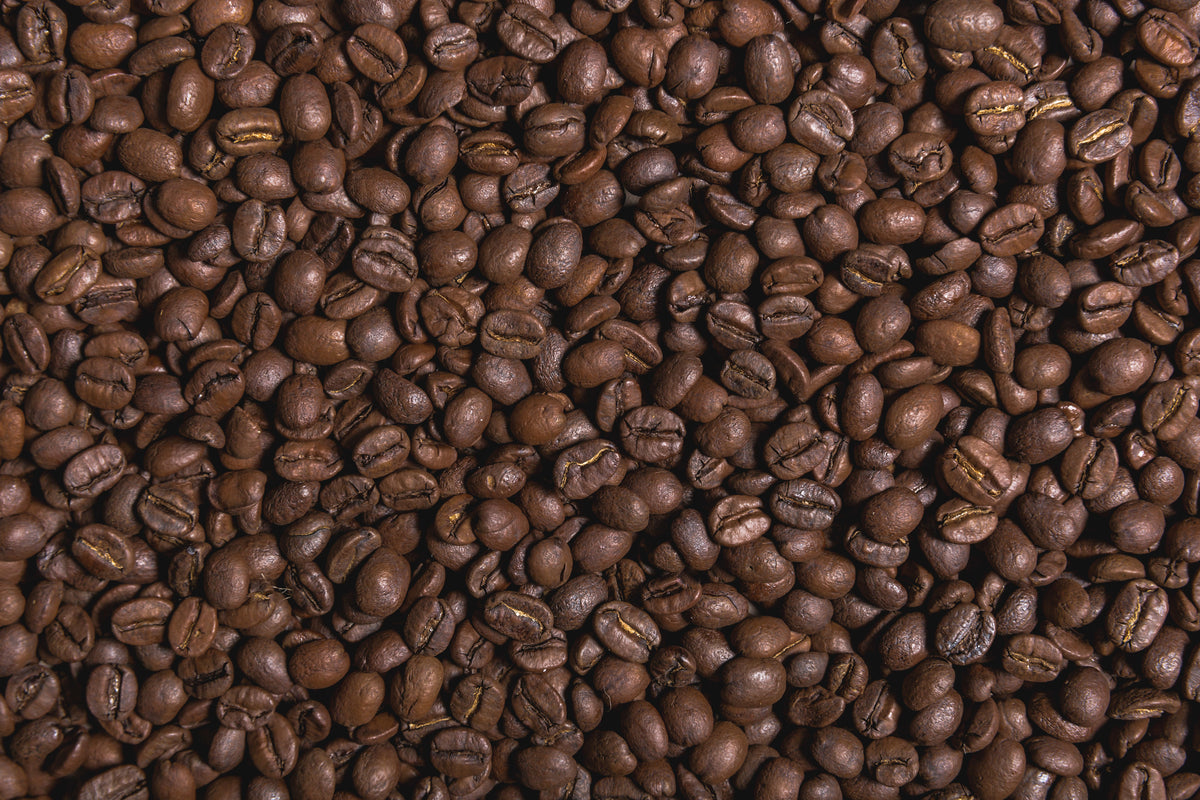 Grains de café torréfiés – le Pack découverte Comptoir du Barista